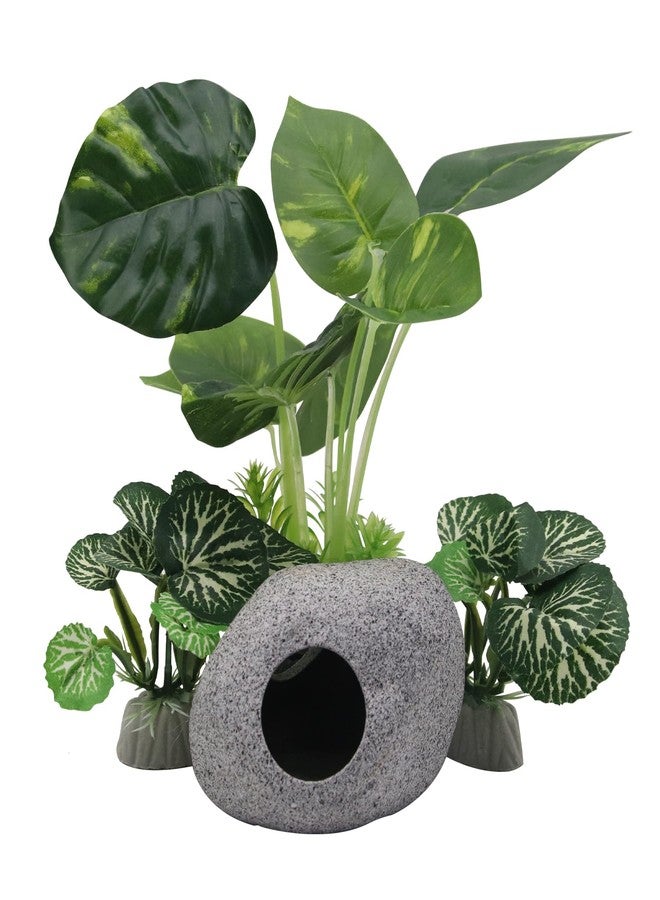 Abustle pig Aquarium Plants Fish Tank Decorations Plastic Artificial Aquarium Plant and Rock Cave Hideout House with Viewing Window for Betta Fish Tank Decor(Leafs/Stone Cave) - Image 1